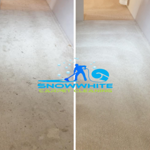 Curated visual reference: Gallery Detail: Affordable Carpet Cleaning Perth Stain Removal