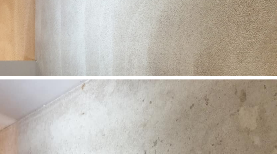 Carpet Cleaning Cost Near You | Carpet Cleaning in Perth
