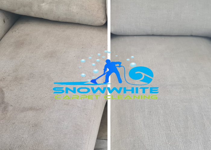 Perth and Mandurah carpet cleaning services | Carpet Cleaning in Perth