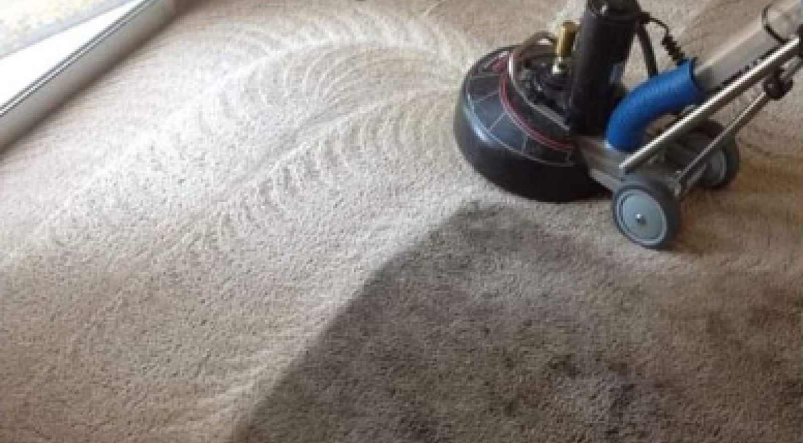 Average Carpet Cleaning Cost in Perth 2024 Cost Per Room