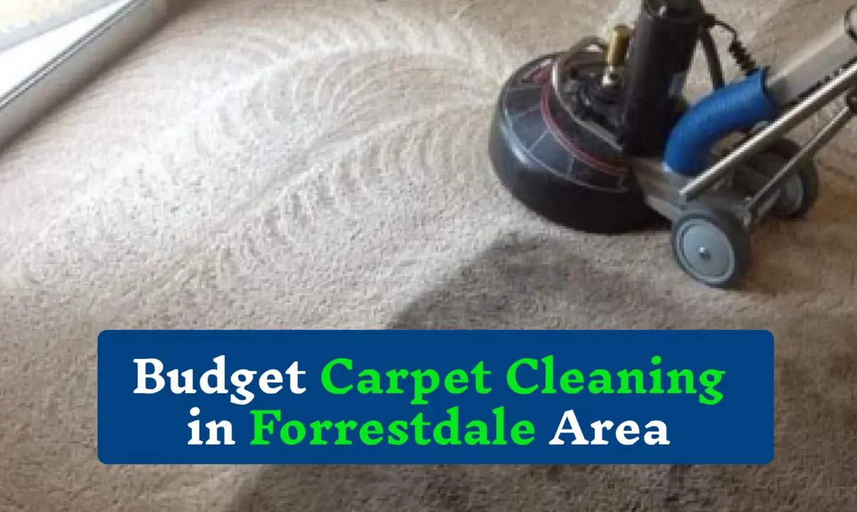 carpet cleaning Forrestdale | Carpet Cleaning Forrestdale Area | Forrestdale Carpet Cleaning | carpet Steam Cleaning Forrestdale | Budget Carpet Cleaning Forrestdale | professional carpet cleaning Forrestdale