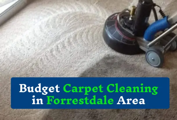 carpet cleaning Forrestdale | Carpet Cleaning Forrestdale Area | Forrestdale Carpet Cleaning | carpet Steam Cleaning Forrestdale | Budget Carpet Cleaning Forrestdale | professional carpet cleaning Forrestdale