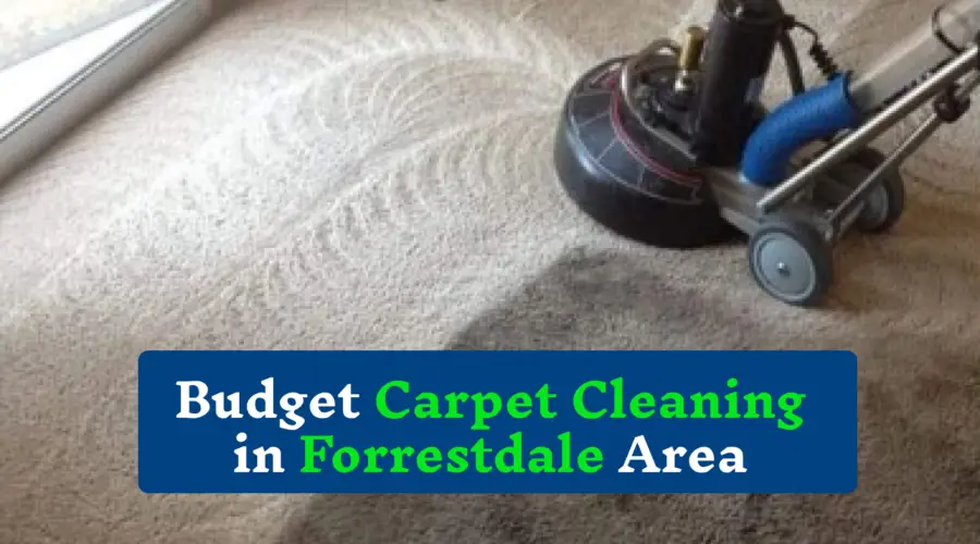 carpet cleaning Forrestdale | Carpet Cleaning Forrestdale Area | Forrestdale Carpet Cleaning | carpet Steam Cleaning Forrestdale | Budget Carpet Cleaning Forrestdale | professional carpet cleaning Forrestdale