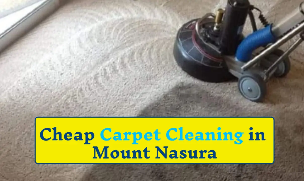 Professional carpet cleaners Mount Nasura | cheap carpet cleaning mount nasura | carpet stain removal mount nasura | steam carpet cleaning mount nasura