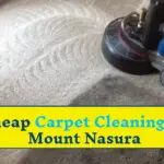 Professional carpet cleaners Mount Nasura | cheap carpet cleaning mount nasura | carpet stain removal mount nasura | steam carpet cleaning mount nasura