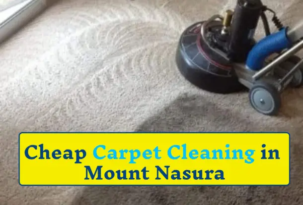 Professional carpet cleaners Mount Nasura | cheap carpet cleaning mount nasura | carpet stain removal mount nasura | steam carpet cleaning mount nasura