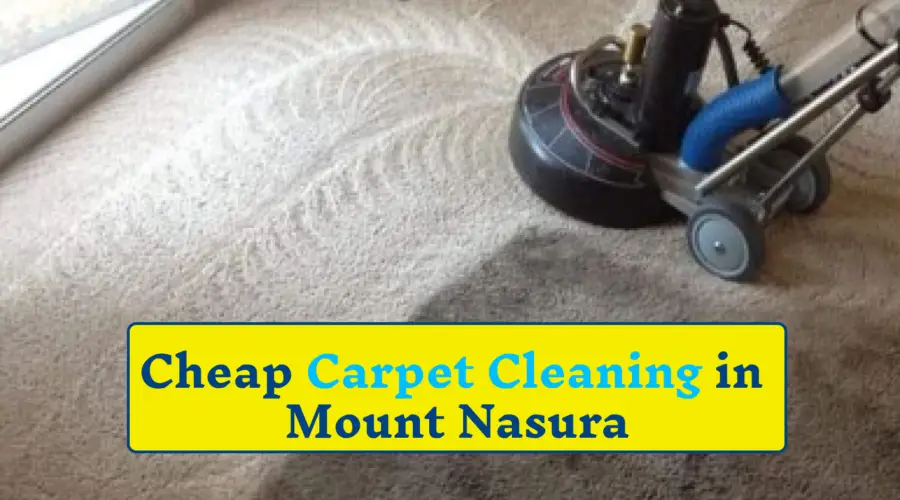 Professional carpet cleaners Mount Nasura | cheap carpet cleaning mount nasura | carpet stain removal mount nasura | steam carpet cleaning mount nasura