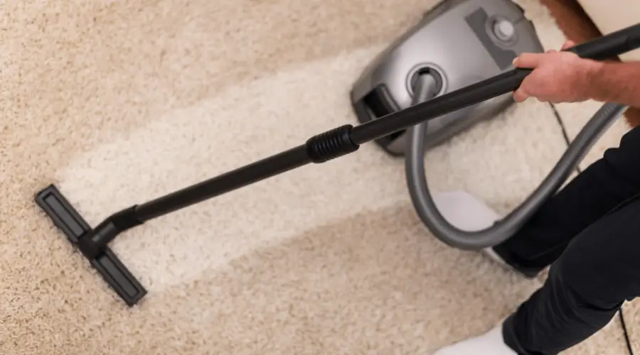 Carpet steam cleaning Gosnell | Professional carpet cleaning Gosnell | Affordable carpet cleaning Gosnell | Best carpet cleaners Gosnell |Carpet cleaning Gosnell